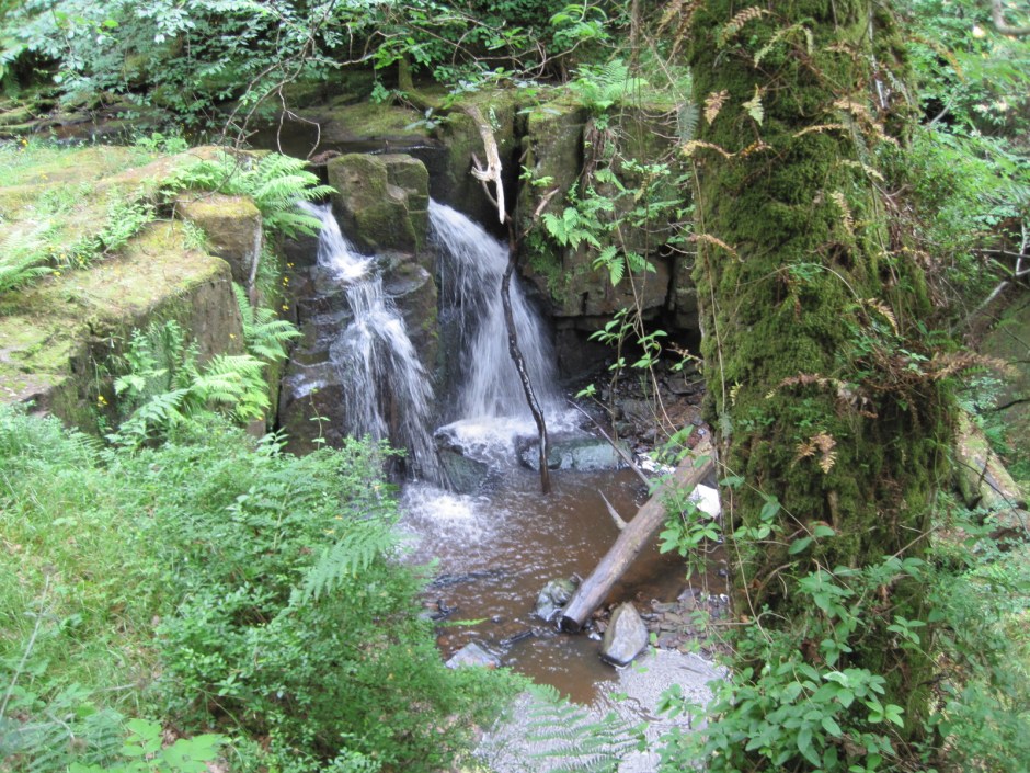 Which gurgles on its way!