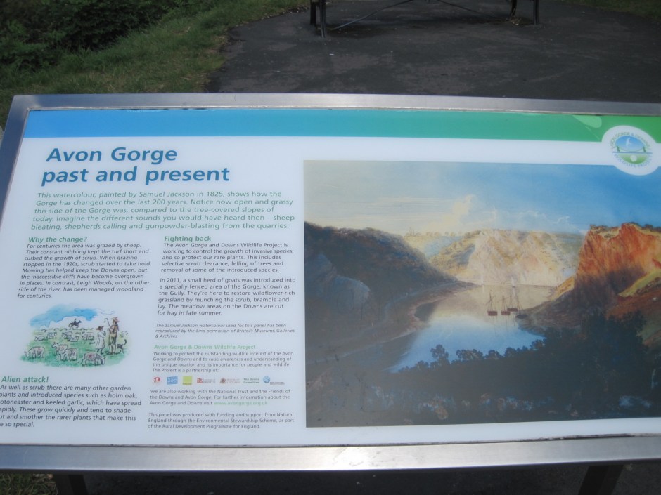 Samuel Jackson's watercolour from 1825