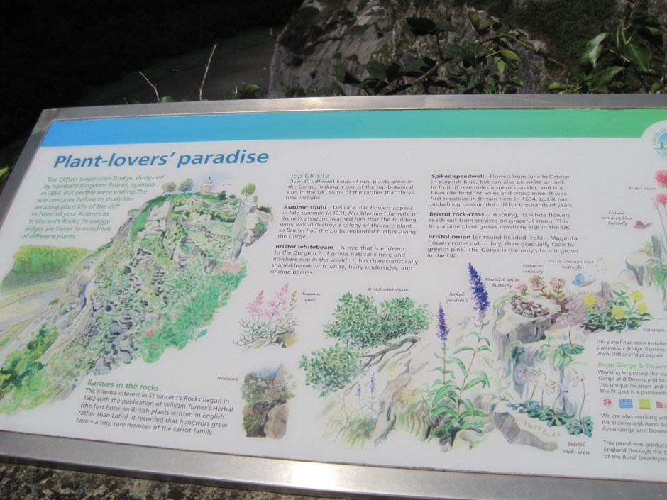 A plant lovers paradise