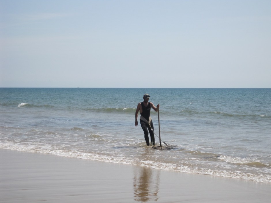 A battle for survival