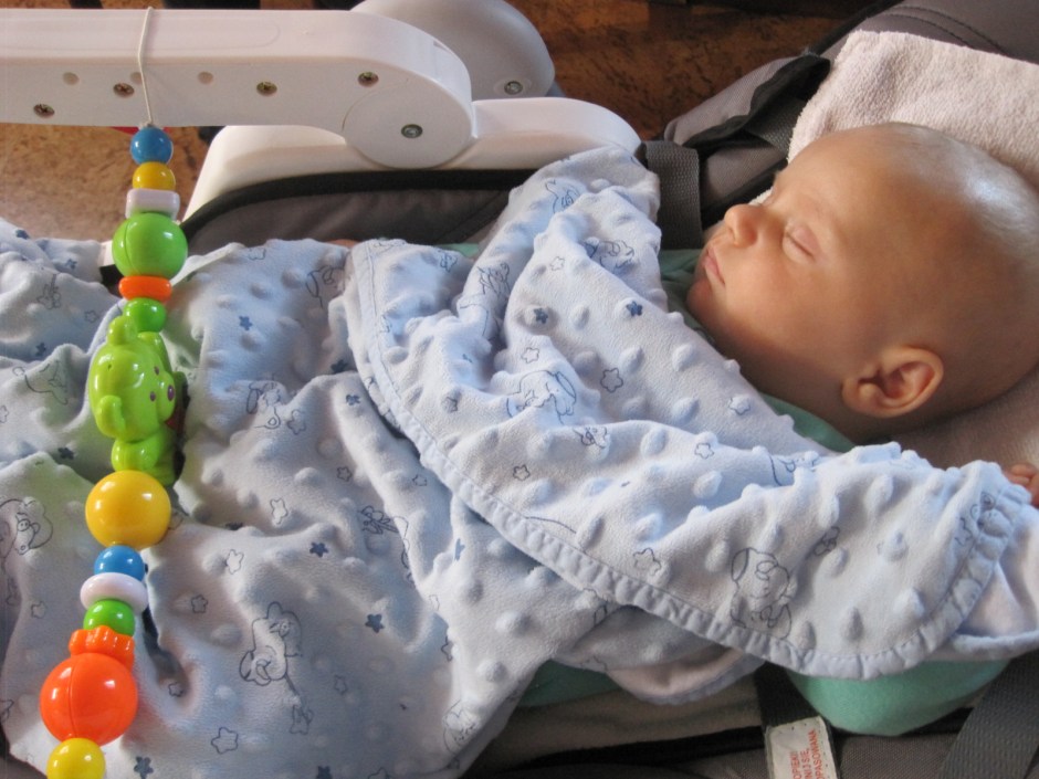 Meet Barteusz, peacefully at home