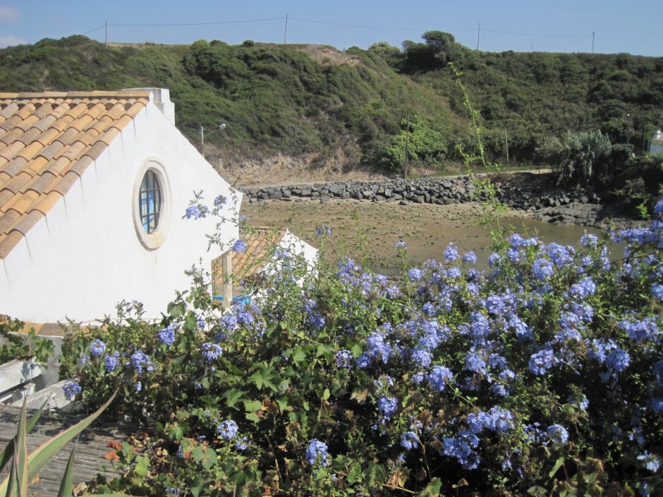 The house on the hill