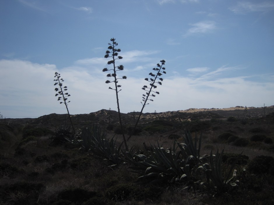 But then, you'd miss views like this