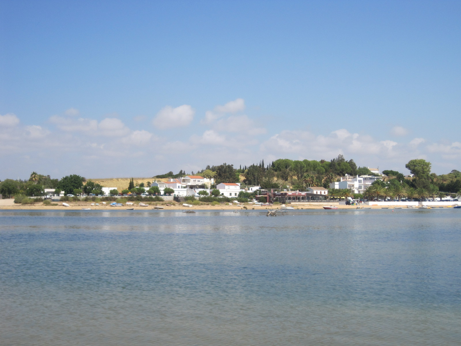 Looking back at the shoreline
