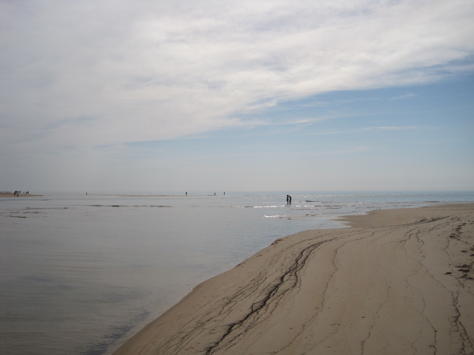 A handful of people in the water