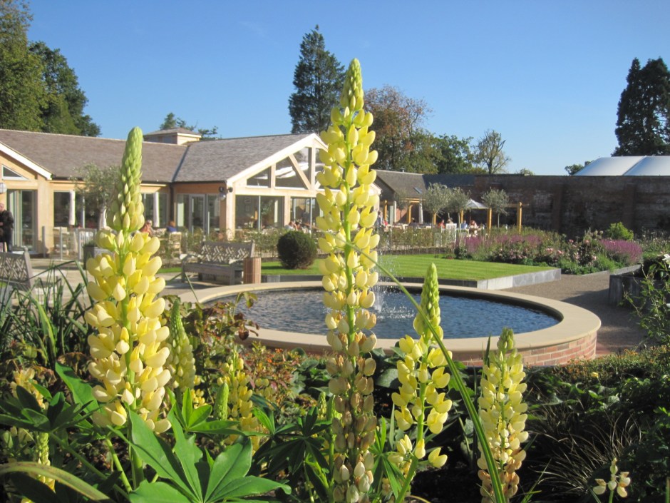 Of course, there are tea rooms