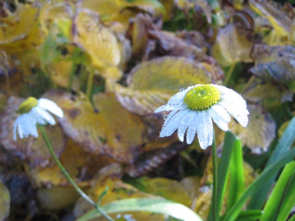 The magical colours of Autumn