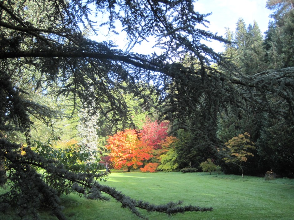 Over a little stream and the colour is already beckoning