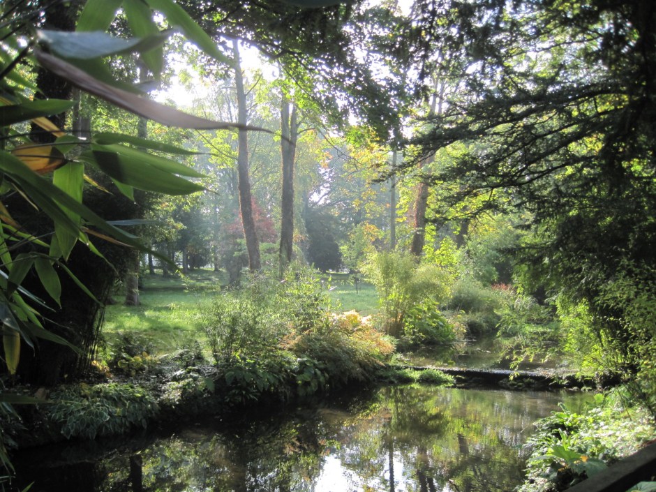 Sunlight dances in the woods