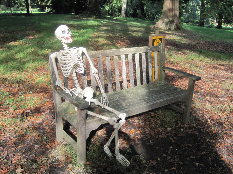 Or sitting patiently on a bench, for Jude