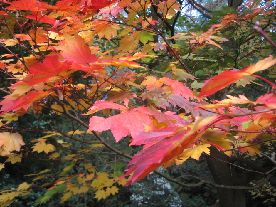 This is what Autumn is all about