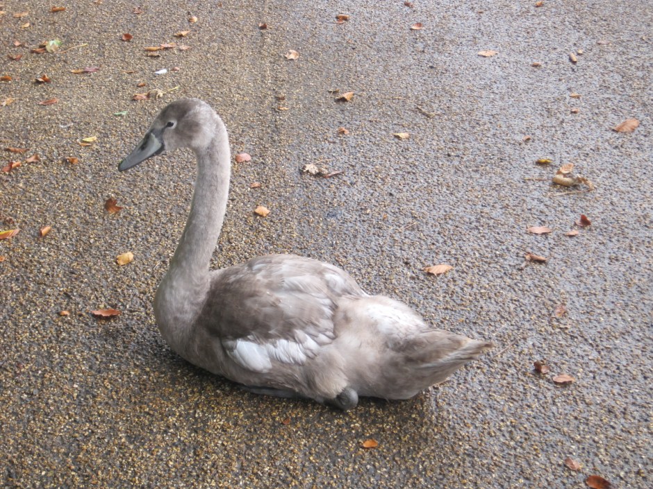 But this guy's not going anywhere