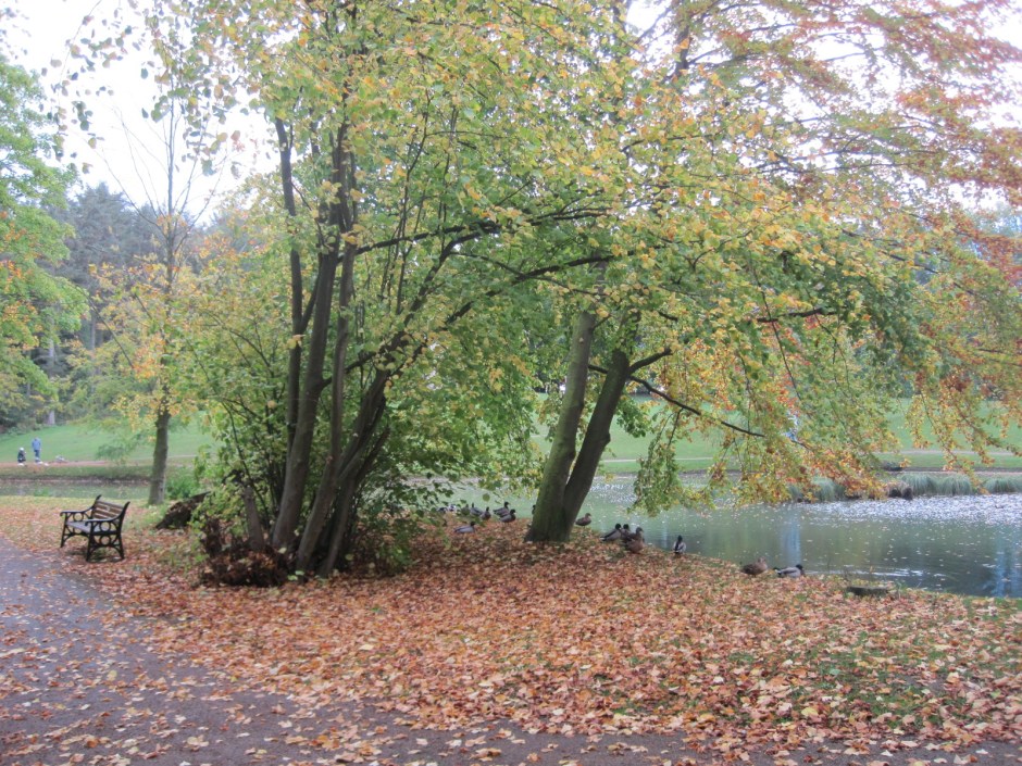 His friends are looking worried!