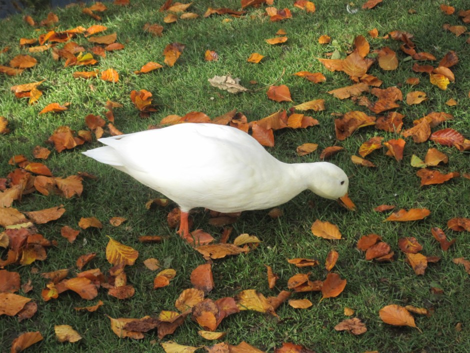 It's ok- there's plenty of food