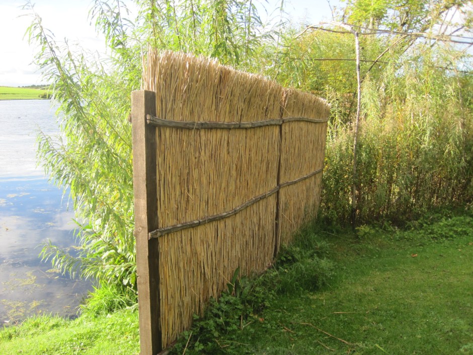 It's fine- look, I've found a shelter