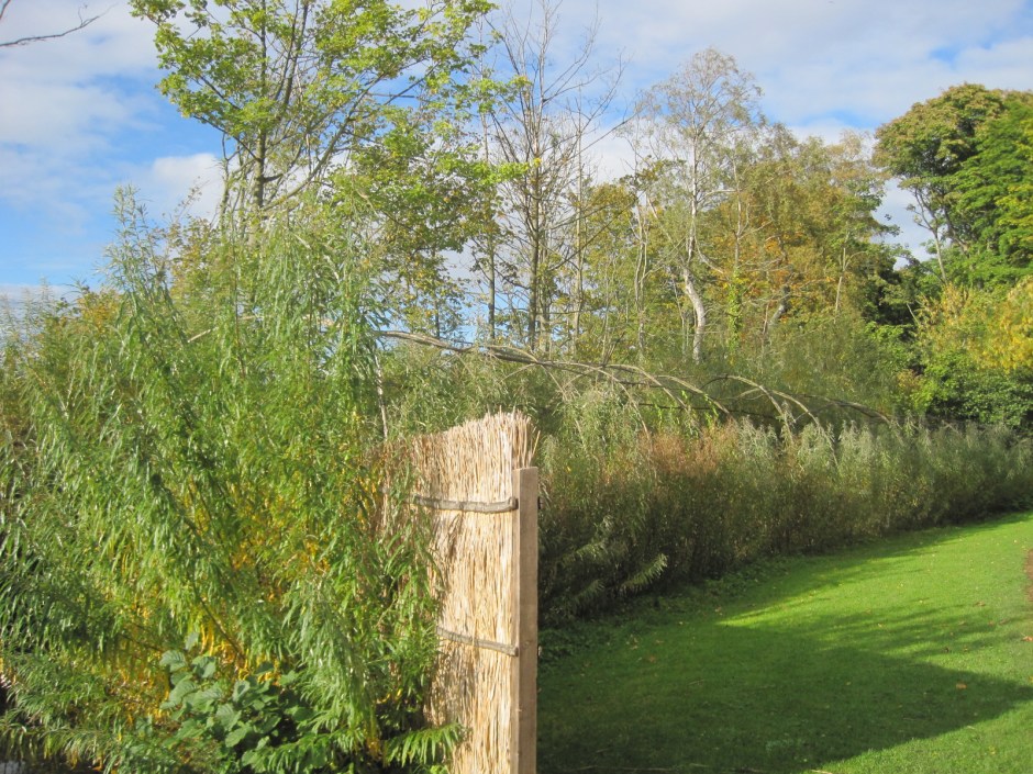 And it's big enough for all of us