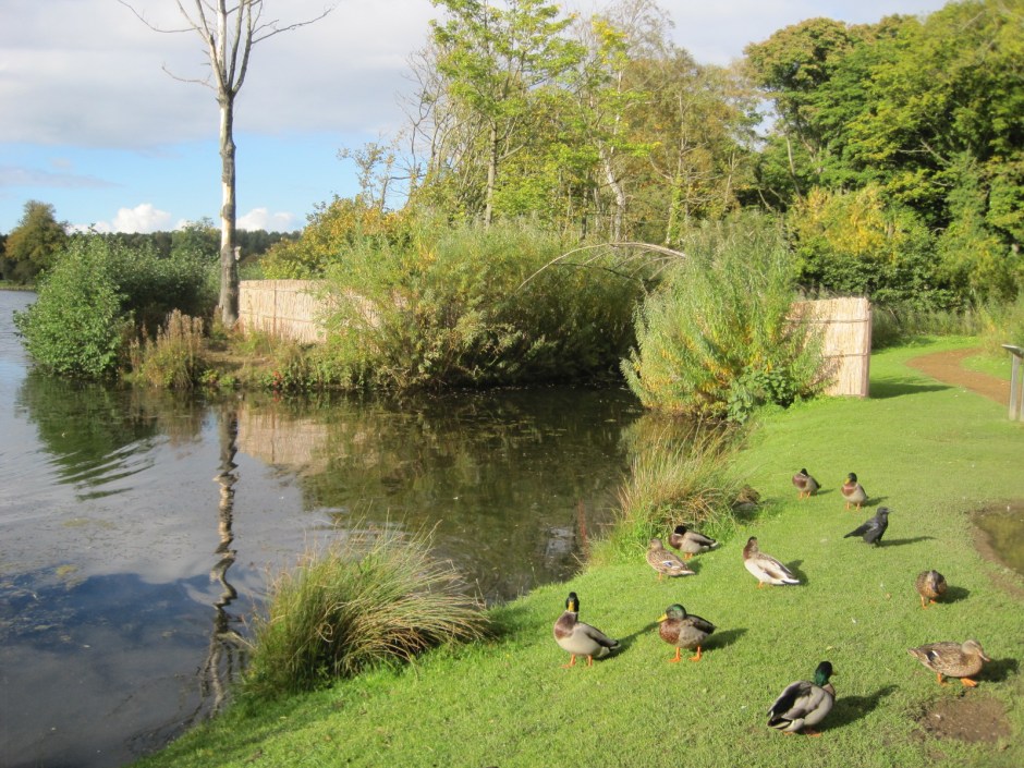 Well, thank goodness we spotted that in time!