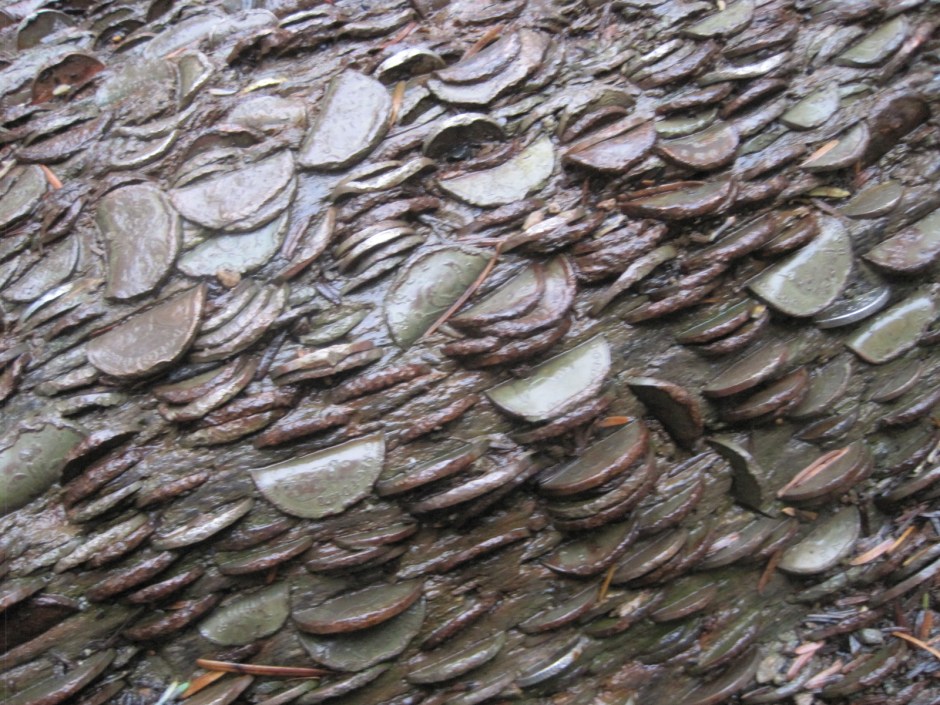 Those coins get everywhere!