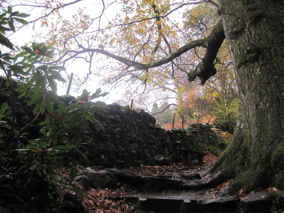 Onwards and upwards!