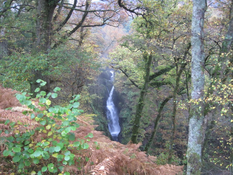 It looked wonderful!