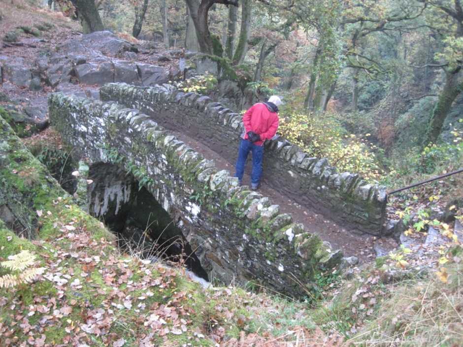 And my other companion