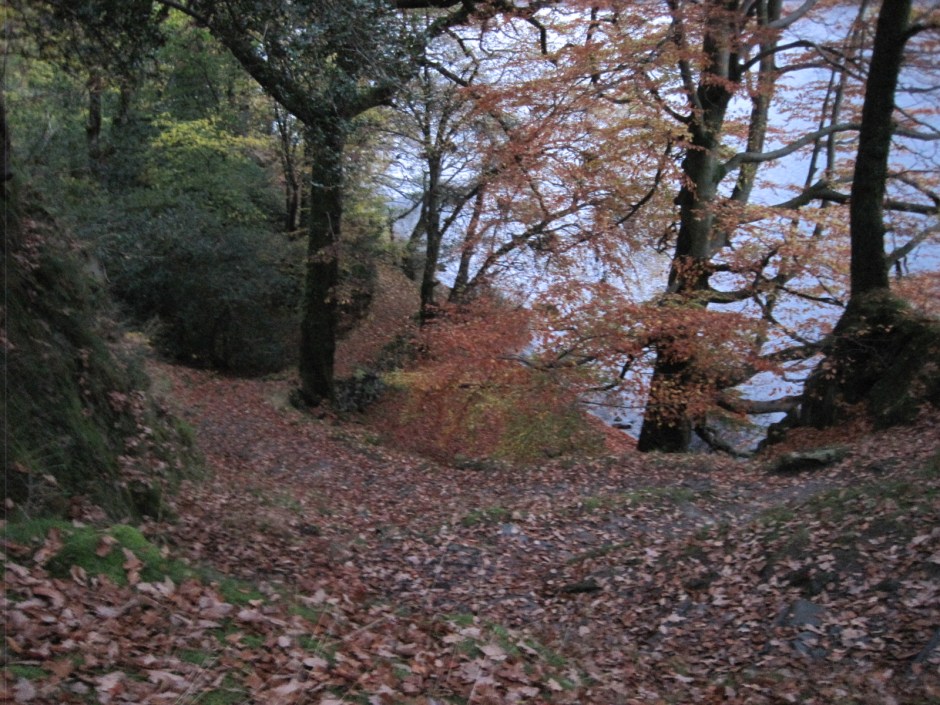 I was staying in a guest house immediately across the road from the lake