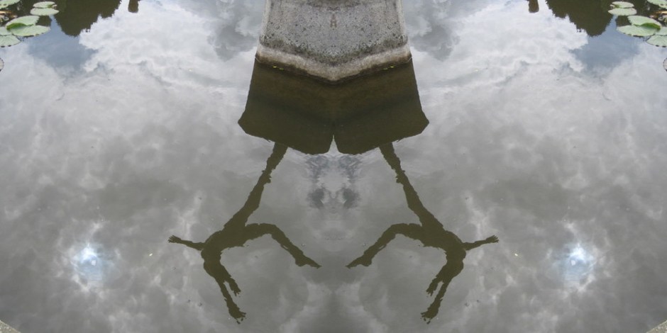 imageedit_1_3071802344